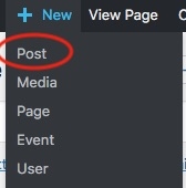 WP-+NewPost