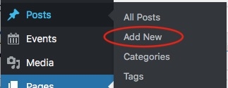 WP-Post-AddNew